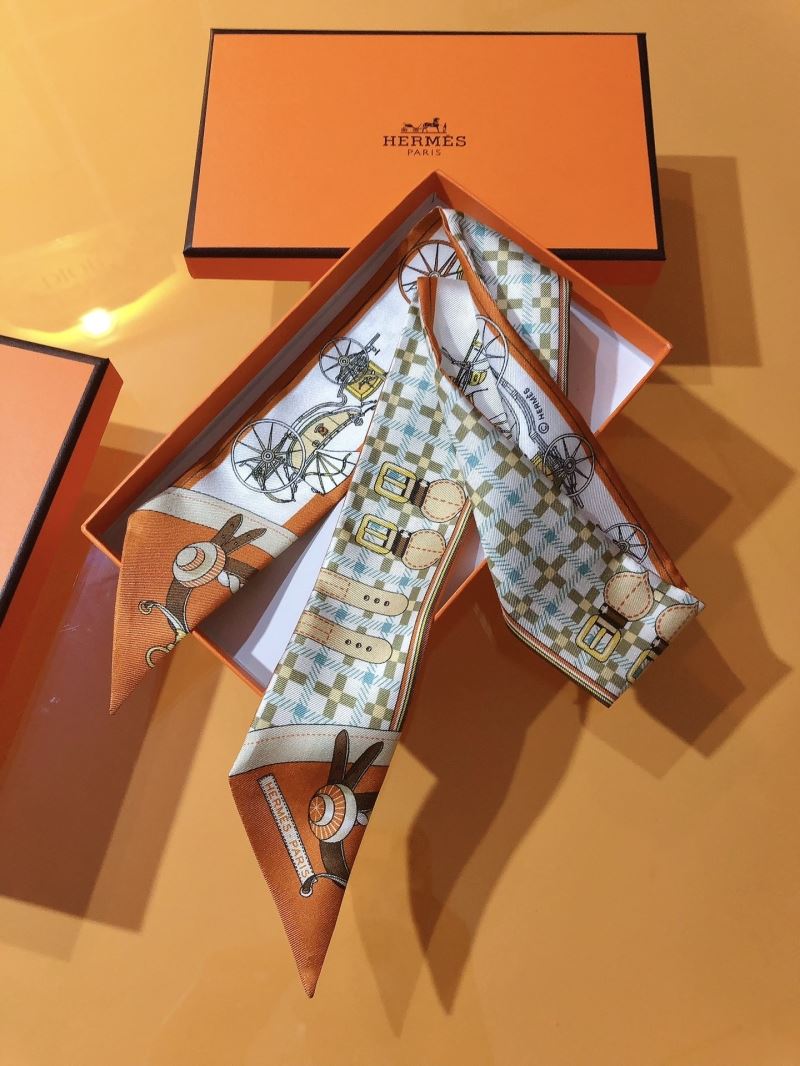 Hermes Silk